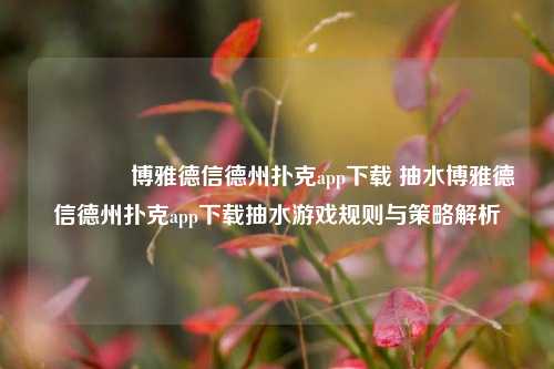 🥈博雅德信德州扑克app下载 抽水博雅德信德州扑克app下载抽水游戏规则与策略解析