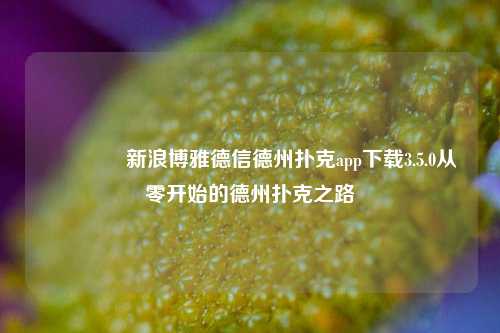🥉新浪博雅德信德州扑克app下载3.5.0从零开始的德州扑克之路