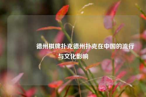 🥈德州棋牌扑克德州扑克在中国的流行与文化影响