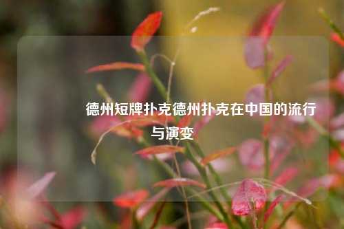 🥇德州短牌扑克德州扑克在中国的流行与演变