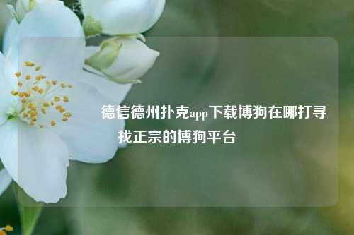 🎖️德信德州扑克app下载博狗在哪打寻找正宗的博狗平台