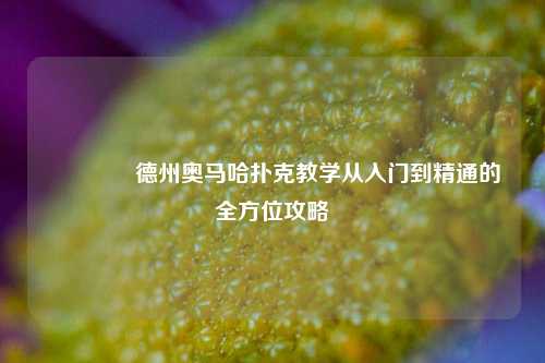 🥈德州奥马哈扑克教学从入门到精通的全方位攻略