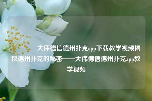🌈大伟德信德州扑克app下载教学视频揭秘德州扑克的秘密——大伟德信德州扑克app教学视频