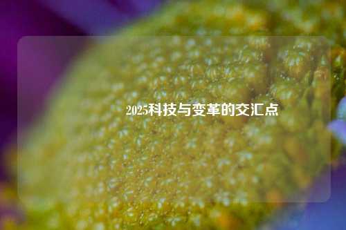 🥇2025科技与变革的交汇点
