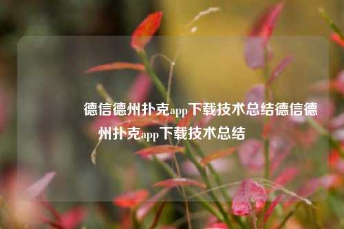 👉德信德州扑克app下载技术总结德信德州扑克app下载技术总结