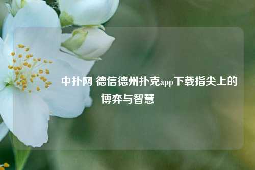 🥈中扑网 德信德州扑克app下载指尖上的博弈与智慧
