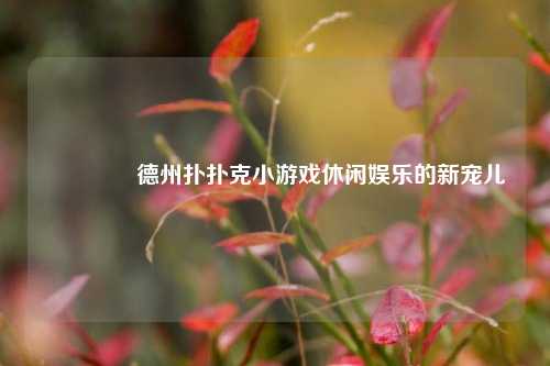 👉德州扑扑克小游戏休闲娱乐的新宠儿
