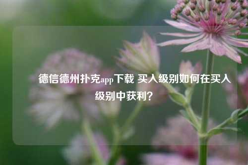 ✌️德信德州扑克app下载 买入级别如何在买入级别中获利？