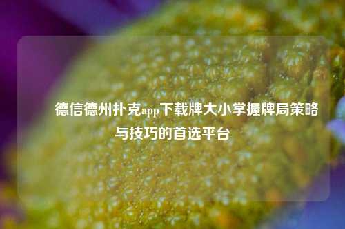 ✌️德信德州扑克app下载牌大小掌握牌局策略与技巧的首选平台