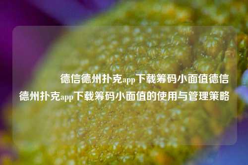 👉德信德州扑克app下载筹码小面值德信德州扑克app下载筹码小面值的使用与管理策略