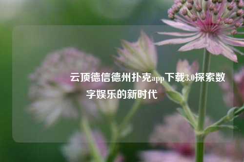 🎖️云顶德信德州扑克app下载3.0探索数字娱乐的新时代