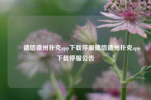 ✌️德信德州扑克app下载停服德信德州扑克app下载停服公告