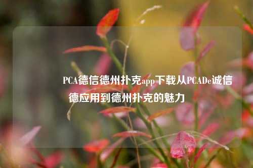 👉PCA德信德州扑克app下载从PCADe诚信德应用到德州扑克的魅力