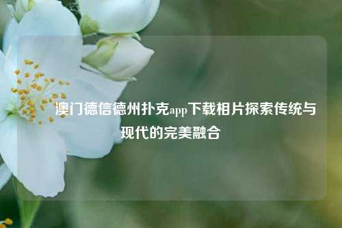 ✌️澳门德信德州扑克app下载相片探索传统与现代的完美融合