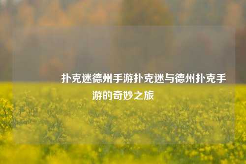 🥉扑克迷德州手游扑克迷与德州扑克手游的奇妙之旅