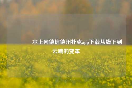 🏆水上网德信德州扑克app下载从线下到云端的变革