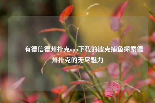 ✌️有德信德州扑克app下载的波克捕鱼探索德州扑克的无尽魅力