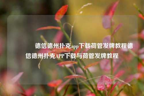 🥉德信德州扑克app下载荷管发牌教程德信德州扑克APP下载与荷管发牌教程