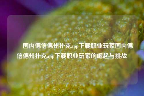 ✌️国内德信德州扑克app下载职业玩家国内德信德州扑克app下载职业玩家的崛起与挑战