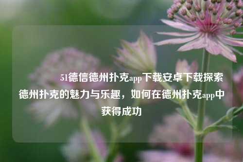 🏆51德信德州扑克app下载安卓下载探索德州扑克的魅力与乐趣，如何在德州扑克app中获得成功
