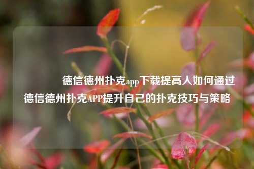 🥉德信德州扑克app下载提高人如何通过德信德州扑克APP提升自己的扑克技巧与策略