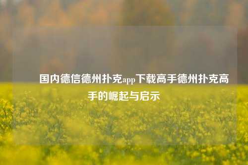 ✌️国内德信德州扑克app下载高手德州扑克高手的崛起与启示