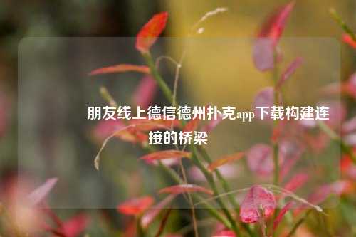 🌈朋友线上德信德州扑克app下载构建连接的桥梁