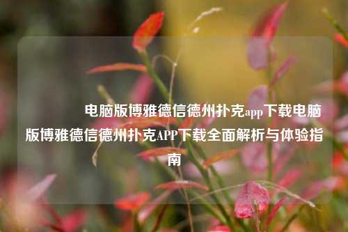 👍电脑版博雅德信德州扑克app下载电脑版博雅德信德州扑克APP下载全面解析与体验指南