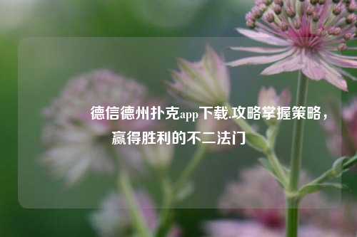 🌈德信德州扑克app下载.攻略掌握策略，赢得胜利的不二法门