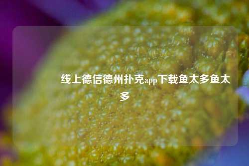 👈线上德信德州扑克app下载鱼太多鱼太多