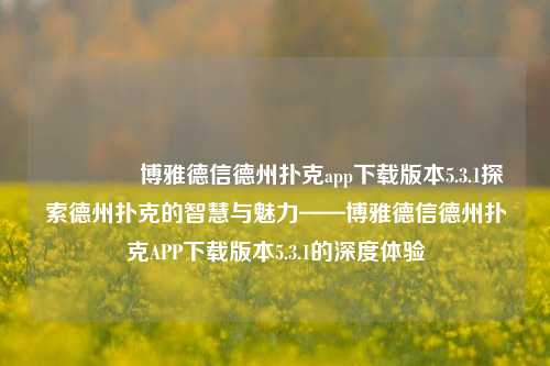 🥈博雅德信德州扑克app下载版本5.3.1探索德州扑克的智慧与魅力——博雅德信德州扑克APP下载版本5.3.1的深度体验