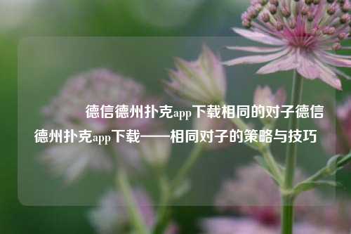 🌈德信德州扑克app下载相同的对子德信德州扑克app下载——相同对子的策略与技巧