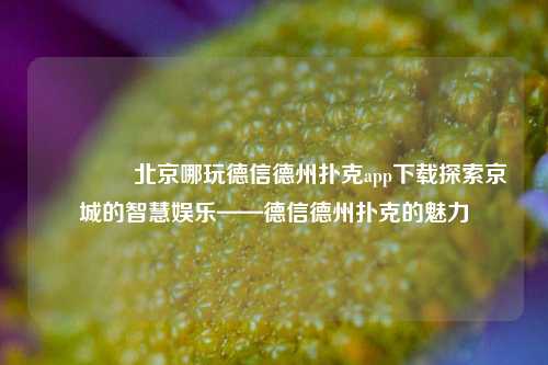 🏆北京哪玩德信德州扑克app下载探索京城的智慧娱乐——德信德州扑克的魅力