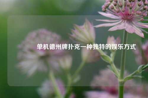 🏆单机德州牌扑克一种独特的娱乐方式