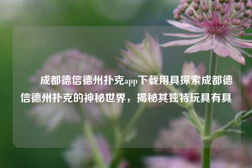 ✌️成都德信德州扑克app下载用具探索成都德信德州扑克的神秘世界，揭秘其独特玩具有具