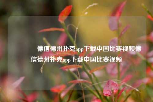 🥇德信德州扑克app下载中国比赛视频德信德州扑克app下载中国比赛视频