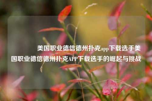 🌈美国职业德信德州扑克app下载选手美国职业德信德州扑克APP下载选手的崛起与挑战