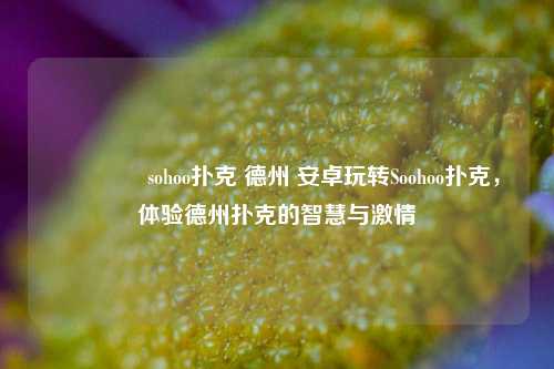 🏅sohoo扑克 德州 安卓玩转Soohoo扑克，体验德州扑克的智慧与激情