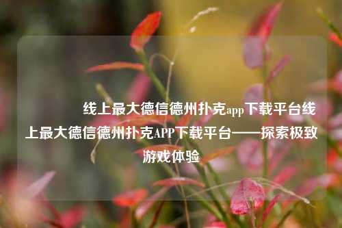 👉线上最大德信德州扑克app下载平台线上最大德信德州扑克APP下载平台——探索极致游戏体验