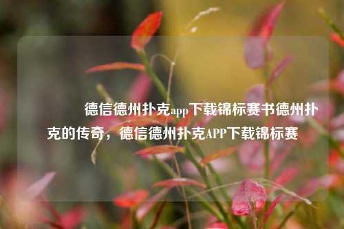 👍德信德州扑克app下载锦标赛书德州扑克的传奇，德信德州扑克APP下载锦标赛