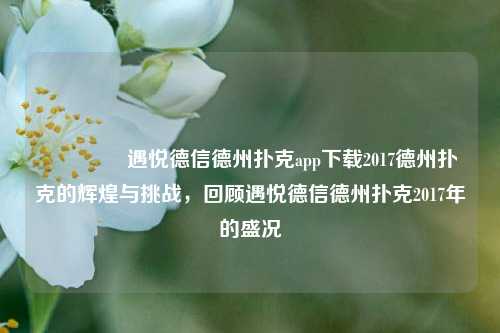 👍遇悦德信德州扑克app下载2017德州扑克的辉煌与挑战，回顾遇悦德信德州扑克2017年的盛况