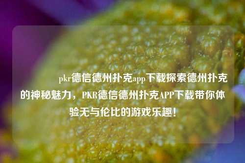 👍pkr德信德州扑克app下载探索德州扑克的神秘魅力，PKR德信德州扑克APP下载带你体验无与伦比的游戏乐趣！