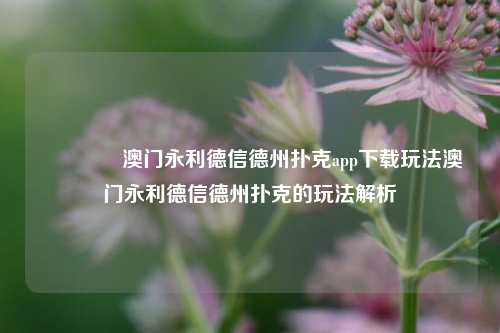 🌈澳门永利德信德州扑克app下载玩法澳门永利德信德州扑克的玩法解析