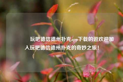 🏆玩吧德信德州扑克app下载的逗欢迎加入玩吧德信德州扑克的奇妙之旅！