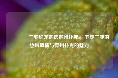🏅三亚红龙德信德州扑克app下载三亚的热带风情与德州扑克的魅力