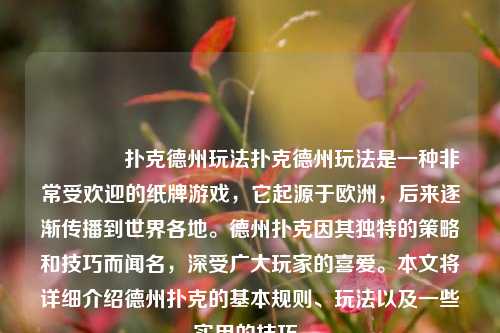 👈扑克德州玩法扑克德州玩法是一种非常受欢迎的纸牌游戏，它起源于欧洲，后来逐渐传播到世界各地。德州扑克因其独特的策略和技巧而闻名，深受广大玩家的喜爱。本文将详细介绍德州扑克的基本规则、玩法以及一些实用的技巧。