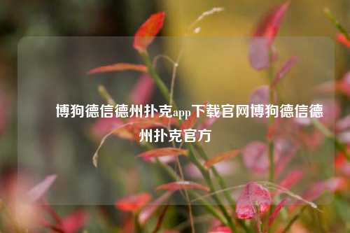 ✌️博狗德信德州扑克app下载官网博狗德信德州扑克官方