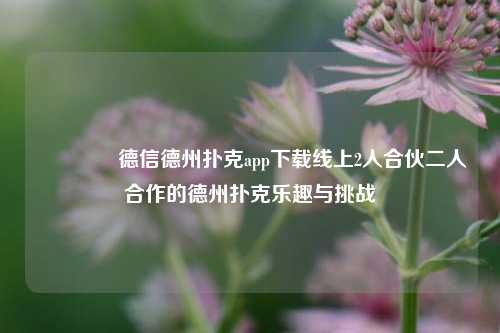 👍德信德州扑克app下载线上2人合伙二人合作的德州扑克乐趣与挑战