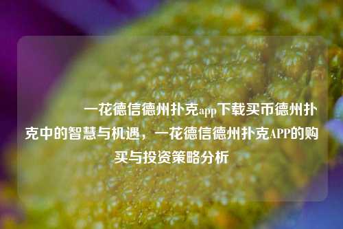 🥉一花德信德州扑克app下载买币德州扑克中的智慧与机遇，一花德信德州扑克APP的购买与投资策略分析