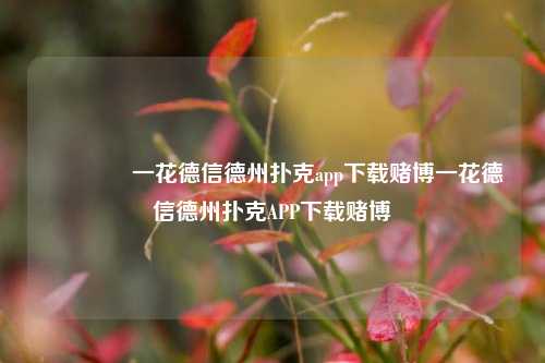 🥈一花德信德州扑克app下载赌博一花德信德州扑克APP下载赌博